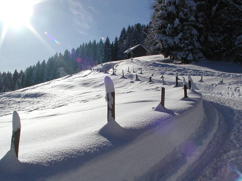 Tyrol - Partnerbetrieb Von Oberstaufen